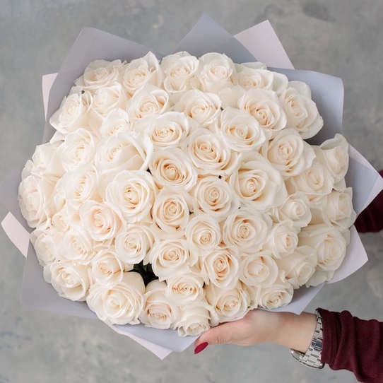 51 Белая Роза